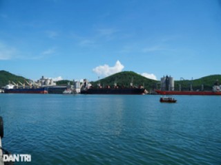 3 tháng đầu năm, kim ngạch xuất nhập khẩu tại Thanh Hóa đạt 3,66 tỷ USD