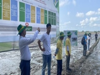 Bình Điền cùng nông dân thực hiện đề án 1 triệu ha lúa chất lượng cao