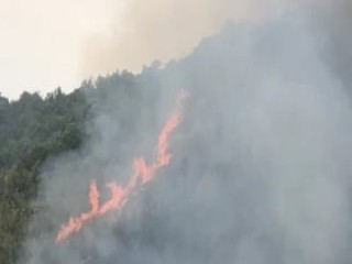 Một người tử vong khi chữa cháy rừng