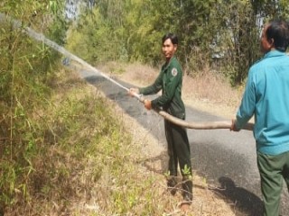 Diễn tập chữa cháy rừng tại rừng tràm Gáo Giồng